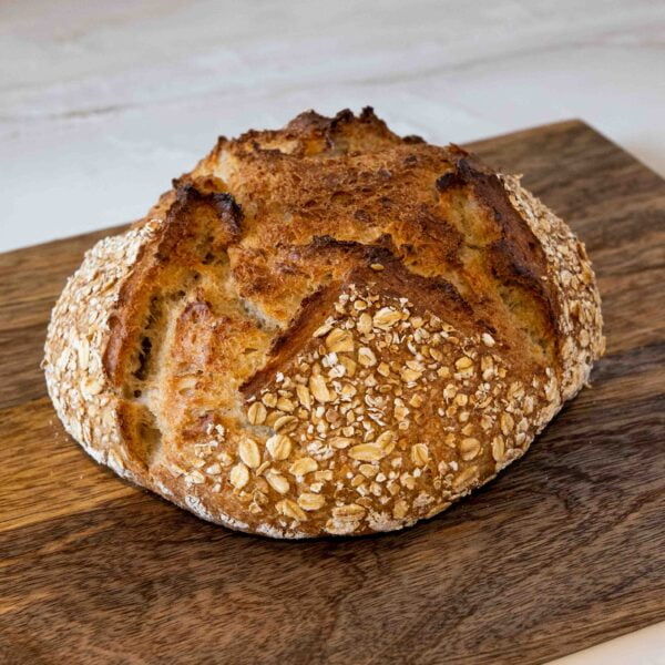 Vincent haver brood